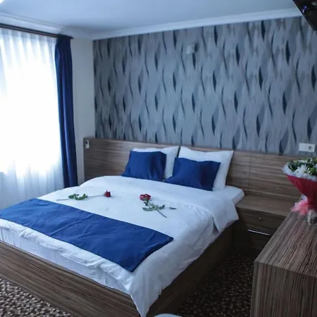 Aslan 伊斯坦布尔