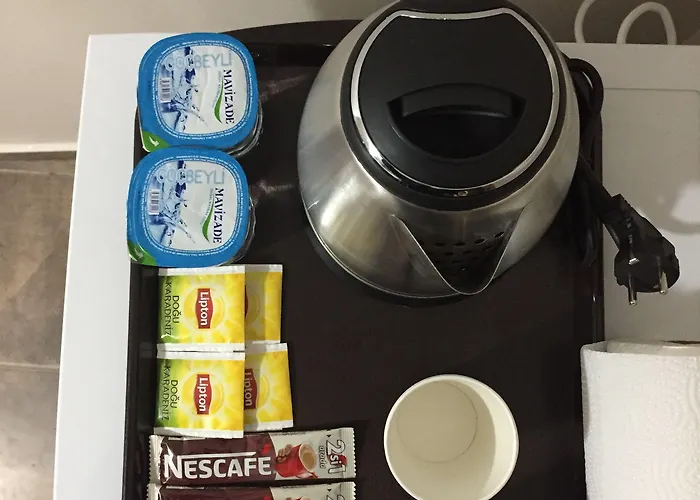 Aslan 酒店 伊斯坦布尔