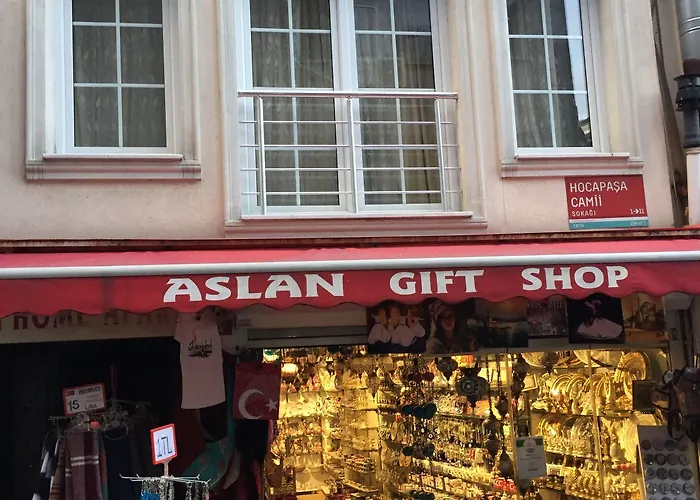 酒店 Aslan 伊斯坦布尔