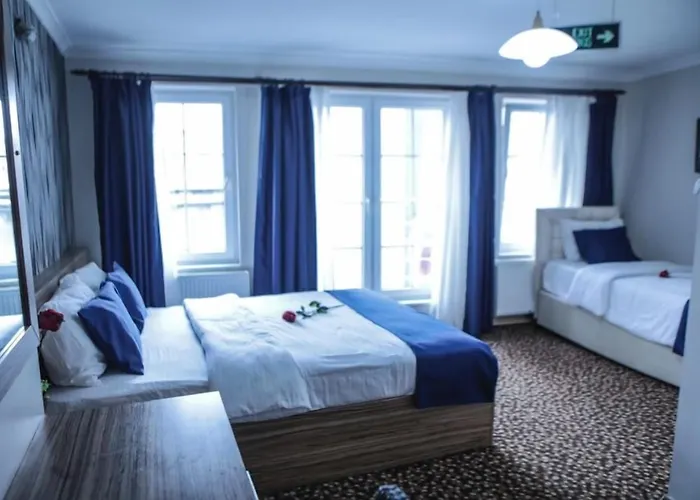 酒店 Aslan 伊斯坦布尔