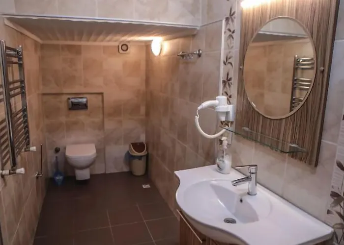 Aslan 伊斯坦布尔