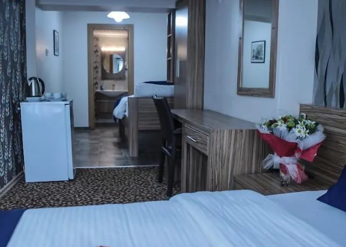 Aslan 酒店 伊斯坦布尔