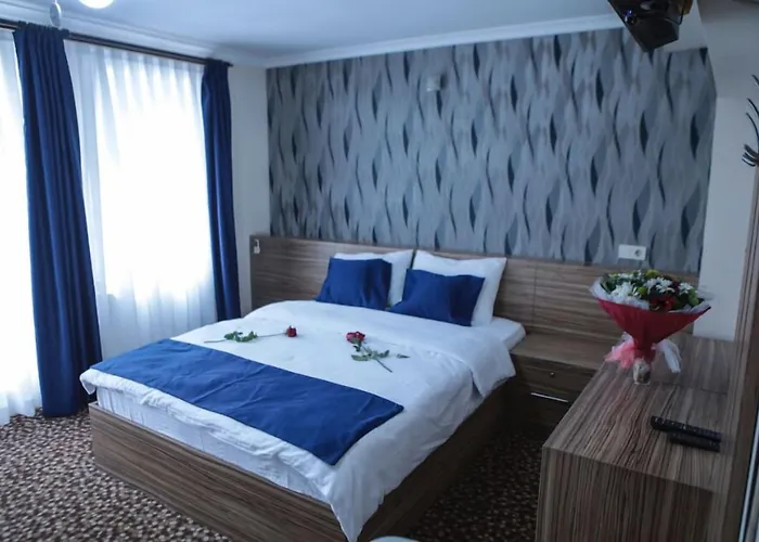 Aslan 伊斯坦布尔