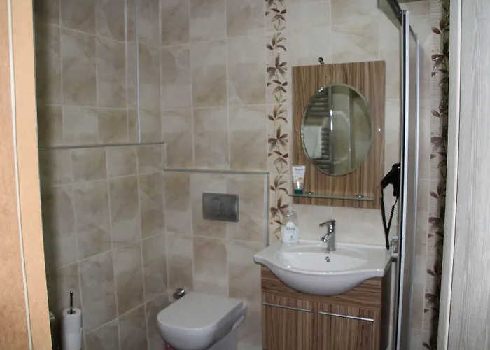 Aslan 伊斯坦布尔