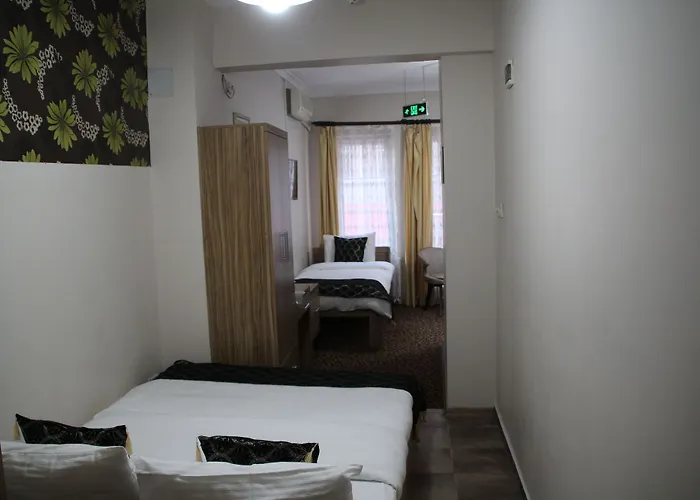 Aslan 伊斯坦布尔