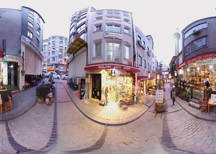 酒店 Aslan 伊斯坦布尔