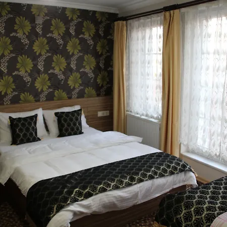 Aslan Apartment